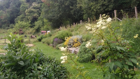 vue jardin fleurs juin