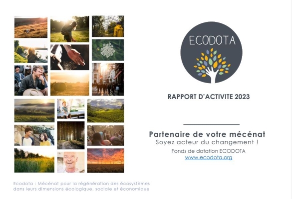 Rapport activite ECODOTA 2025