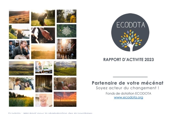 Rapport activite ECODOTA 2023