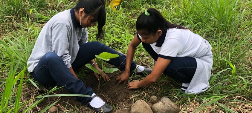 D Taller3 Reforestacion