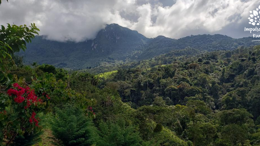 Farallones de cali