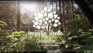 Video Impulso Verde