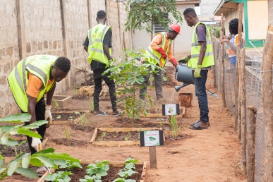 formation insertion personnes eloignees de lemploi biodechetTogo 2023