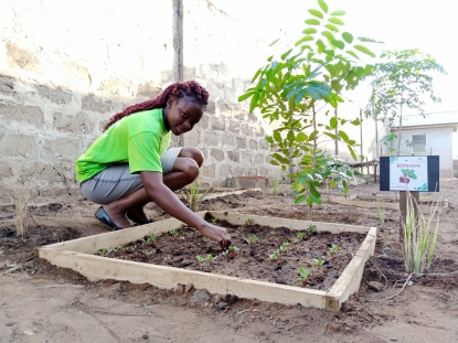 Programme de valorisation des biodechets Lome 2023